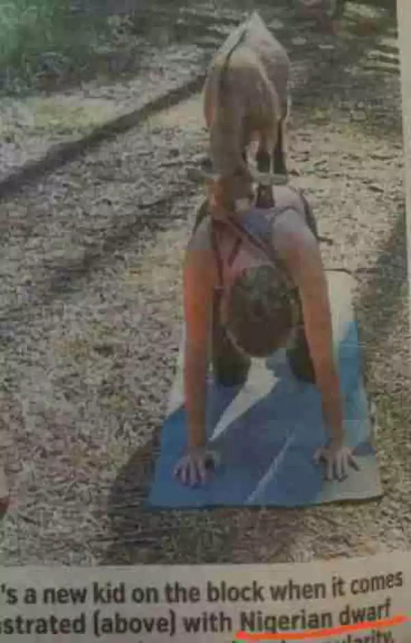 Yoga With Goat? You